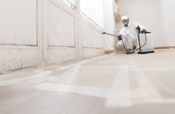 24/7 Emergency Attic Mold Remediation experts in Sumerduck, VA